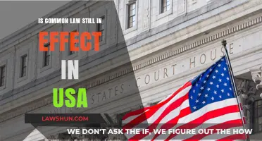 Common Law in the USA: Still Relevant?