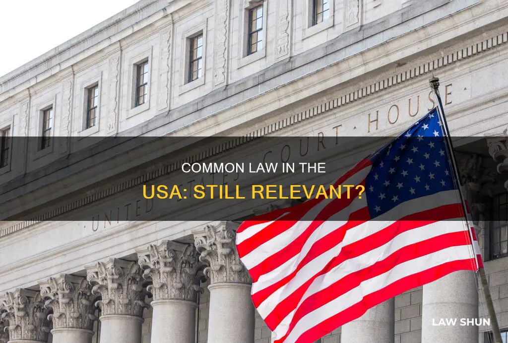 is common law still in effect in usa