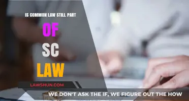 Common Law in SC: Still Relevant?