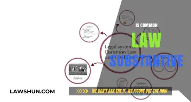 What is Common Law? Exploring Substantive Law