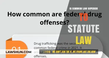 Common Law vs Statute Law: Which Is Superior?