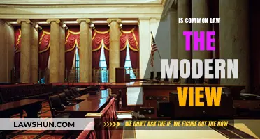 Common Law: The Modern Legal Perspective