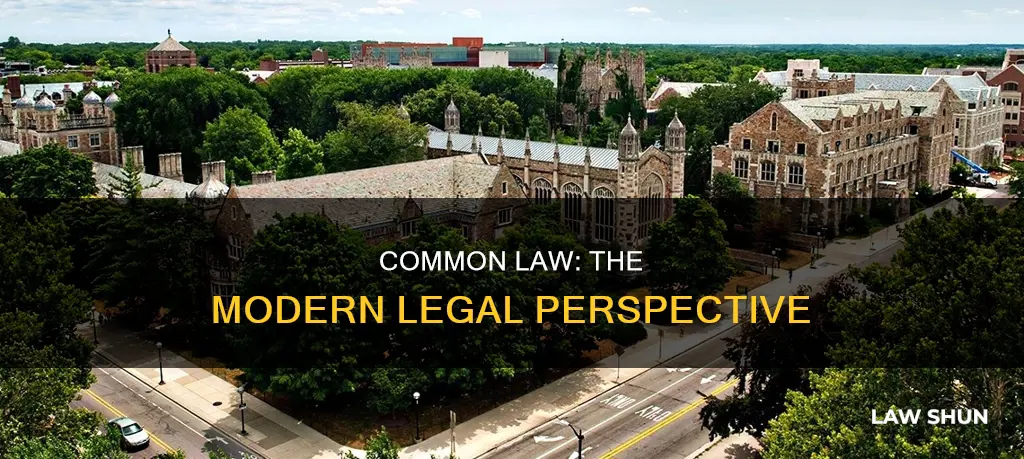 is common law the modern view