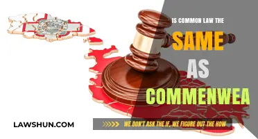 Common Law and Commonwealth: What's the Difference?