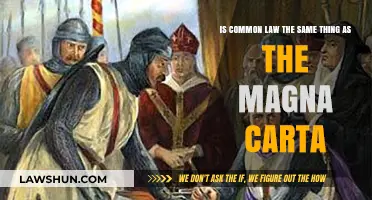 The Magna Carta: Common Law's Origin?