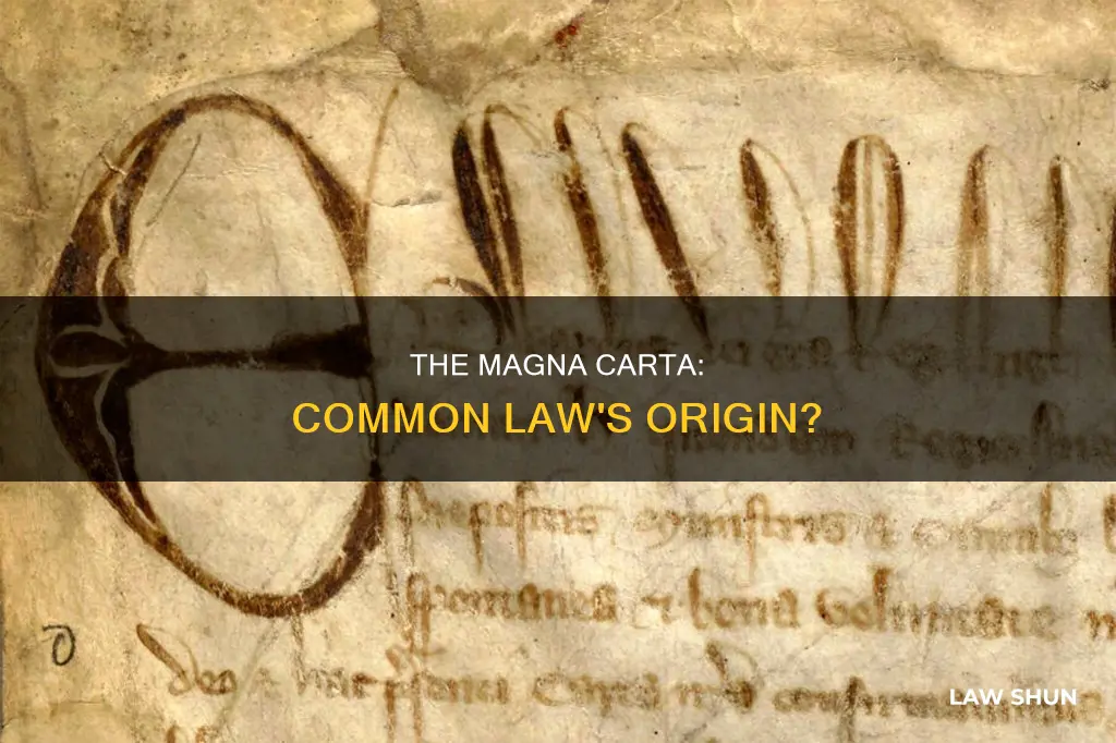 is common law the same thing as the magna carta