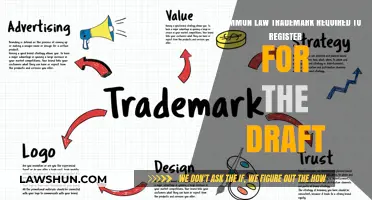 Trademark Common Law: What the Draft Registration Entails