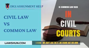 Civil Courts: Common Law's Influence