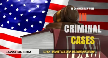 Common Law in Criminal Cases: How and When?