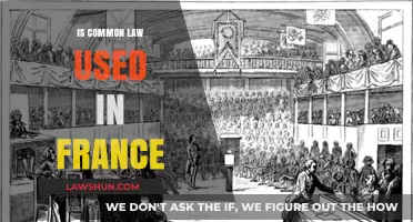 Common Law in France: Is It Used?