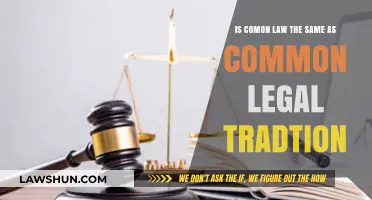 Common Law and Common Legal Tradition: What's the Difference?