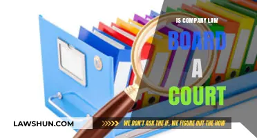 Is the Company Law Board a Court? Understanding Its Legal Status