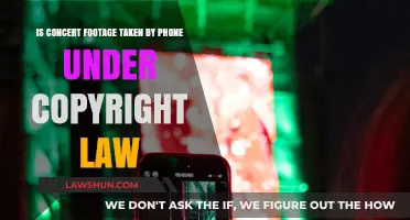 Phone-Recorded Concert Footage: Copyright Law Implications Explained