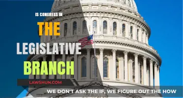 Understanding the Role of Congress in the Legislative Branch