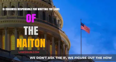Is Congress the Primary Lawmaker in the United States?