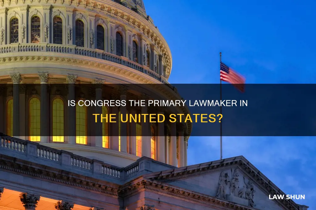 is congress responsible for writting the laws of the naiton