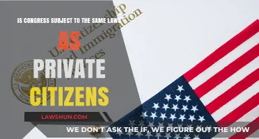 Are Congress Members Bound by the Same Laws as Citizens?