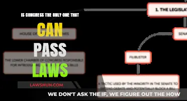Who Can Pass Laws? Congress and Beyond