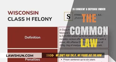 Consent: A Common Law Defense?