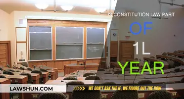 The 1L Year: Constitutional Law's Role