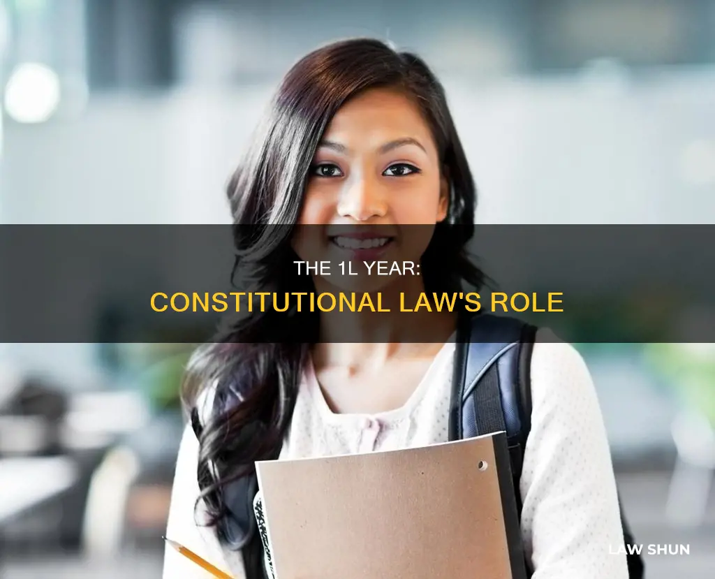is constitution law part of 1l year