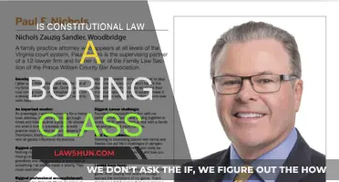 Constitutional Law: A Dry and Boring Class?