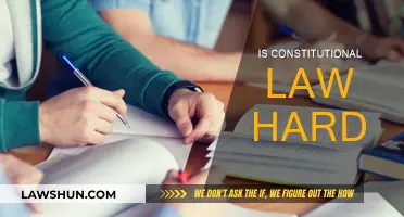 The Challenge of Constitutional Law: Is It Hard?