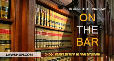Constitutional Law: A Necessary Bar Exam Evil