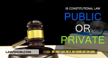 Constitutional Law: Public or Private?