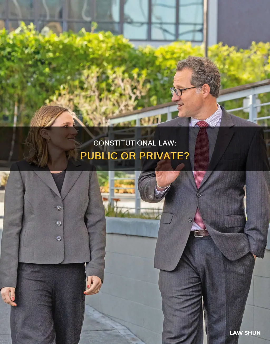 is constitutional law public or private