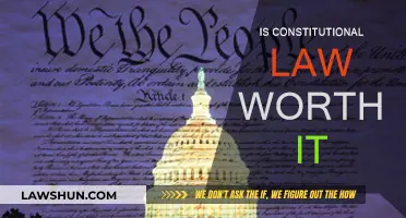 Constitutional Law: Is It Worth the Effort?