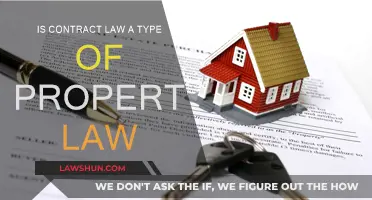 Contract Law: Property Rights and Ownership