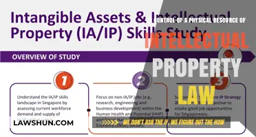 Physical Resource Control: Navigating Intellectual Property Law Boundaries
