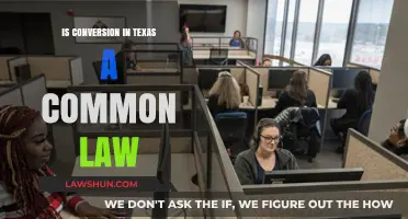 Understanding Texas Conversion: Common Law or Not?
