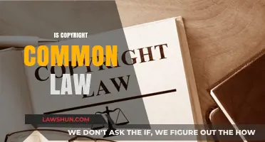 Copyright and Common Law: What's the Deal?