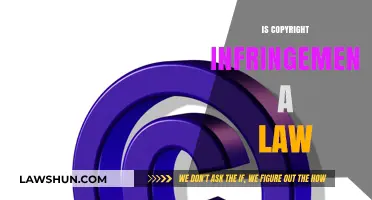 Is Copyright Infringement a Law? Understanding Legal Boundaries and Penalties