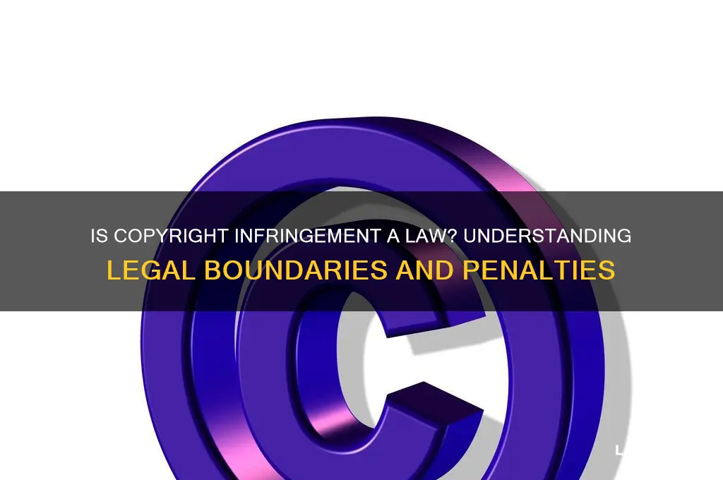 is copyright infringement a law