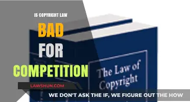 Copyright Law: Hindrance or Helper for Competitive Markets?