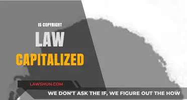 Is Copyright Law Capitalized? Understanding Proper Legal Terminology
