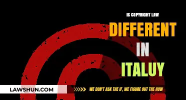Exploring Italy's Unique Copyright Laws