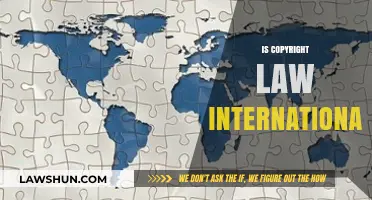 Is Copyright Law International? Exploring Global Protection and Limitations