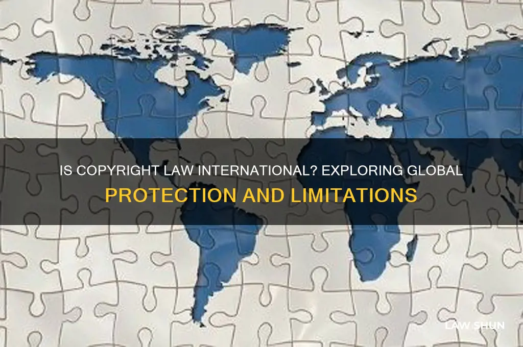 is copyright law internationaal