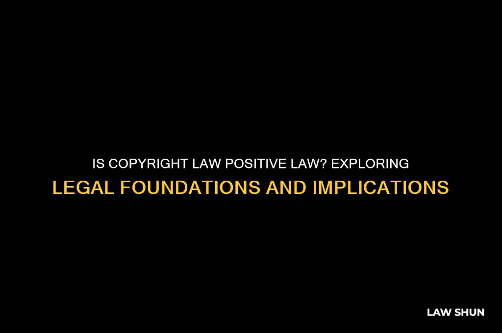 is copyright law positive law