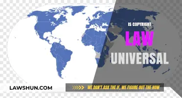 Copyright Law: Universal or Unique?