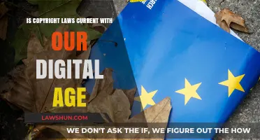 Are Copyright Laws Keeping Pace with Digital Age Innovations?