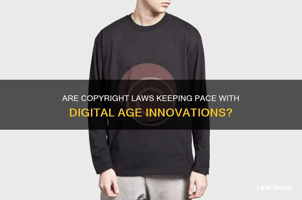 is copyright laws current with our digital age