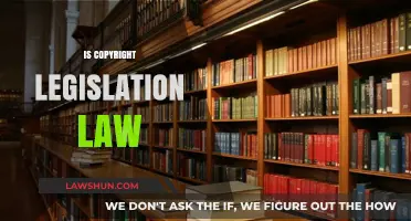 Understanding Copyright Legislation: Is It Truly a Binding Law?