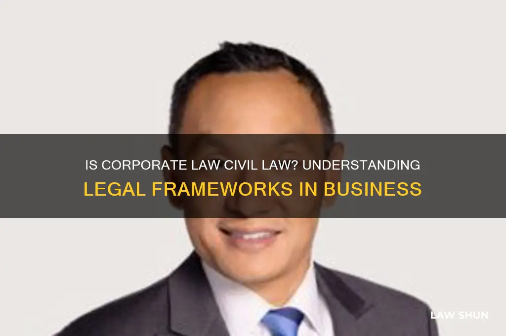is corporate law civil law
