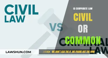 Civil vs Common Law: Corporate Law's Identity