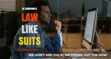 Is Corporate Law Like Suits? Reality vs. TV Drama